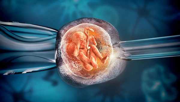 Как можно улучшить кровоток в матке при планировании беременности и перед переносом эмбрионов для ЭКО?