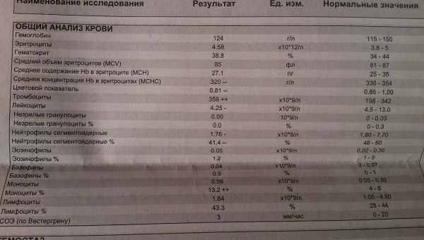 Причины повышения и понижения средней концентрации hb в эритроцитах (МСНС) в крови у ребенка, норма показателя