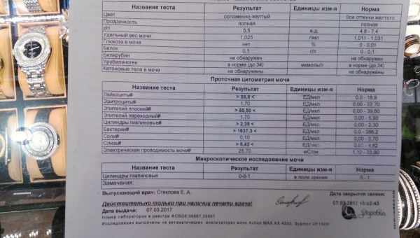 Почему у грудничка и ребенка старше 1 года в анализе мочи появляются бактерии и что это может значить?