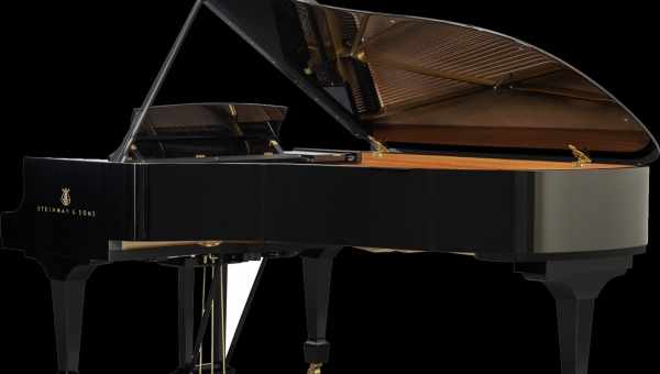 Коллаборации STEINWAY & SONS