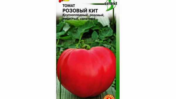 Томат «Розовый спам f1»: описание, фото, отзывы
