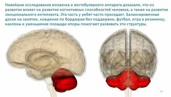 Как мозжечок учится на собственных ошибках