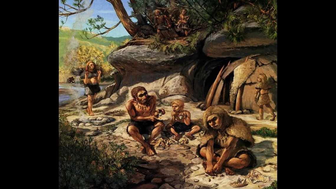 Homo erectus умели запасать еду впрок