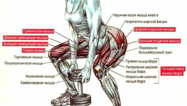 Подкачайся: как правильно приседать со штангой и гантелями