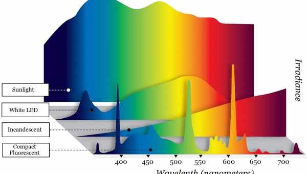 Цветовая температура для растений — обоснование оптимального спектра
