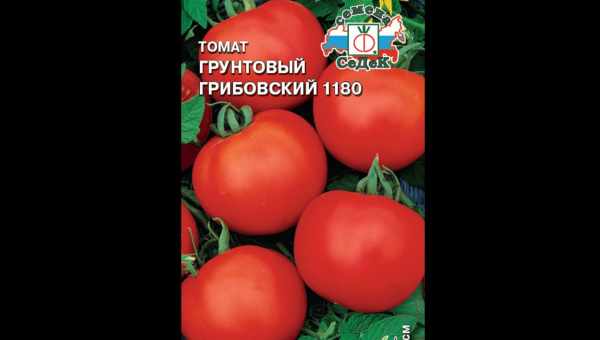 Томат Фрекен Бок — описание сорта, отзывы, урожайность