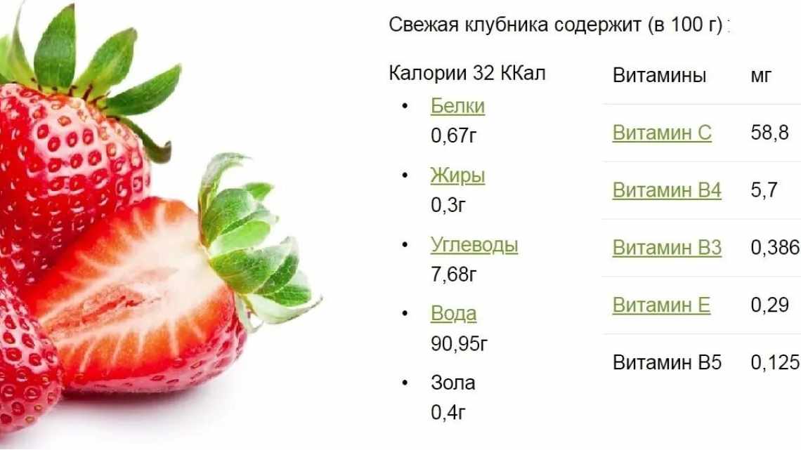 Клубника Кбжу — описание сорта, фото и отзывы садоводов