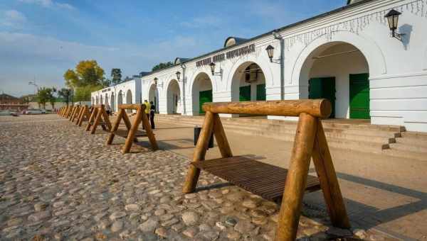 На берег маленького городка в США вынесло мертвую восьмиметровую акулу