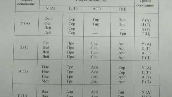 Аутоиммунная погрешность генетического кода