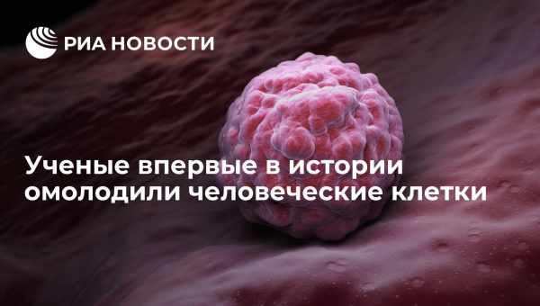 В человеческих клетках нашли новый антивирус