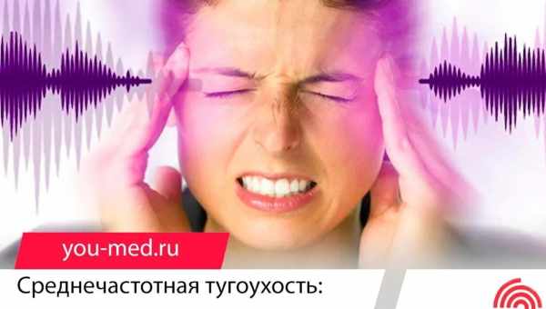 Электромагнитный шум мешает птицам ориентироваться на местности