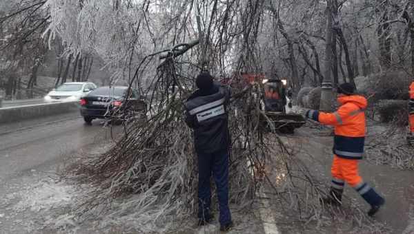 В Ростовской области нашли неграбленное погребение знатной «амазонки»