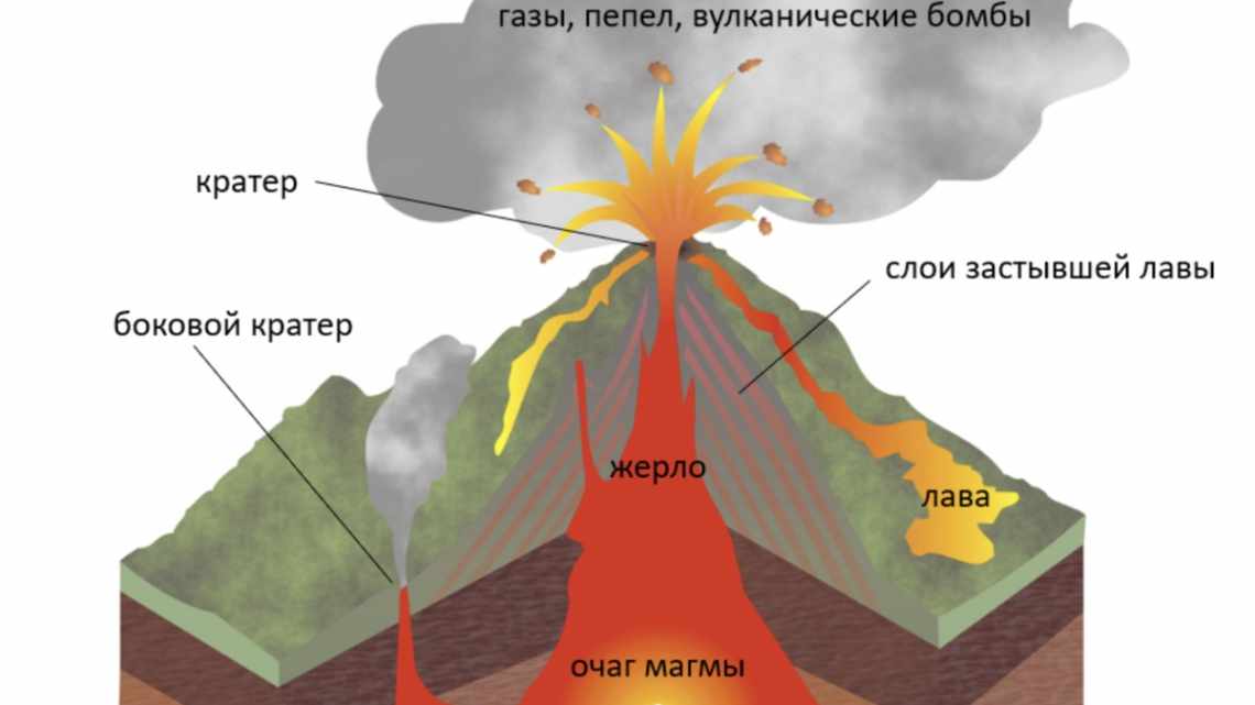 Вулкан превращает полезные грибы во вредные