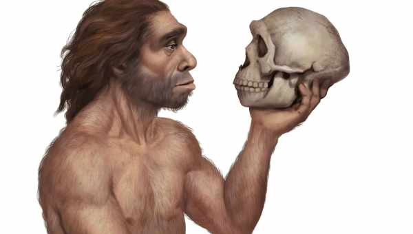 Масштаб возвращения Homo sapiens в Африку переоценили