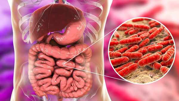 У кишечной микрофлоры сложные отношения с «кишечным гриппом»