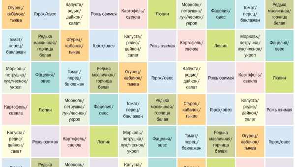 Какие сидераты посадить после лука?